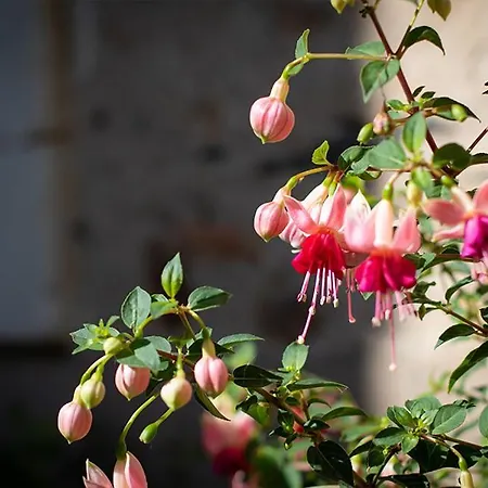 Couette-café Confidences Escale à 4*